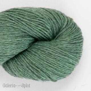 Duna Cotton Alpaka 2609 cactus
